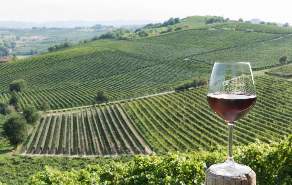 Agriturismo Albarossa Nizza Monferrato Exterior foto